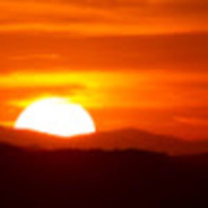 Meet your Posher, Eliane